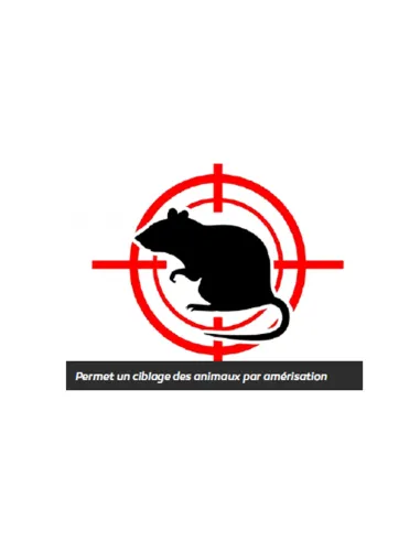 IT208 - STOP RONGEURS