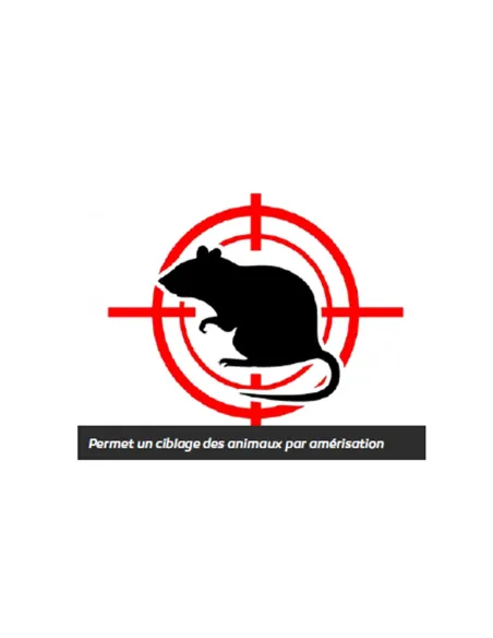 IT208 - STOP RONGEURS