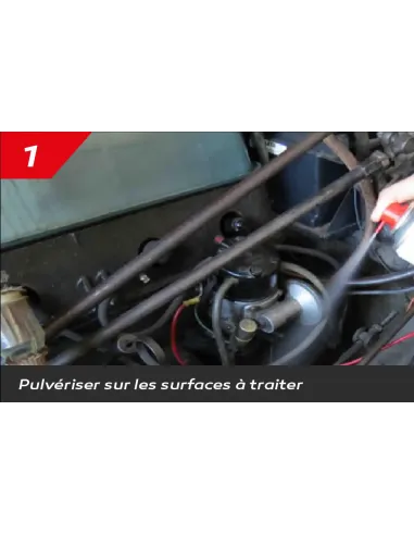 IT208 - STOP RONGEURS