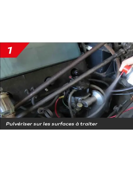 IT208 - STOP RONGEURS